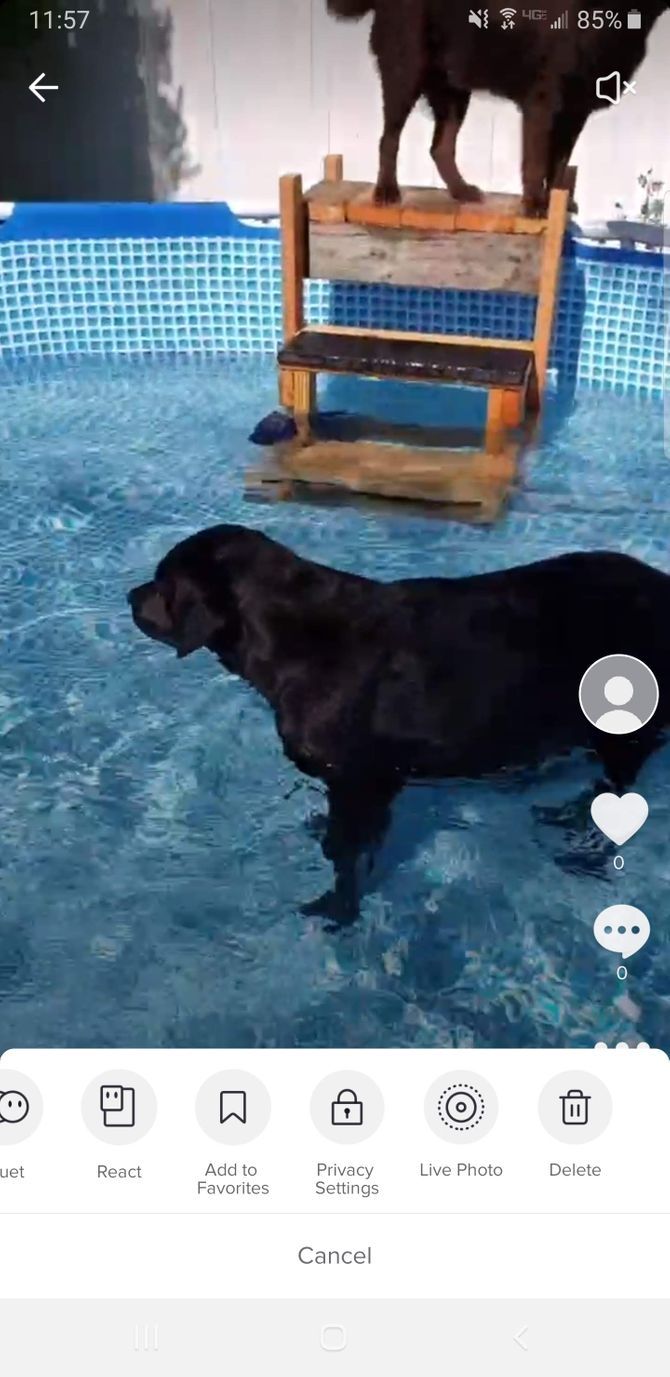 TikTok 视频选项删除