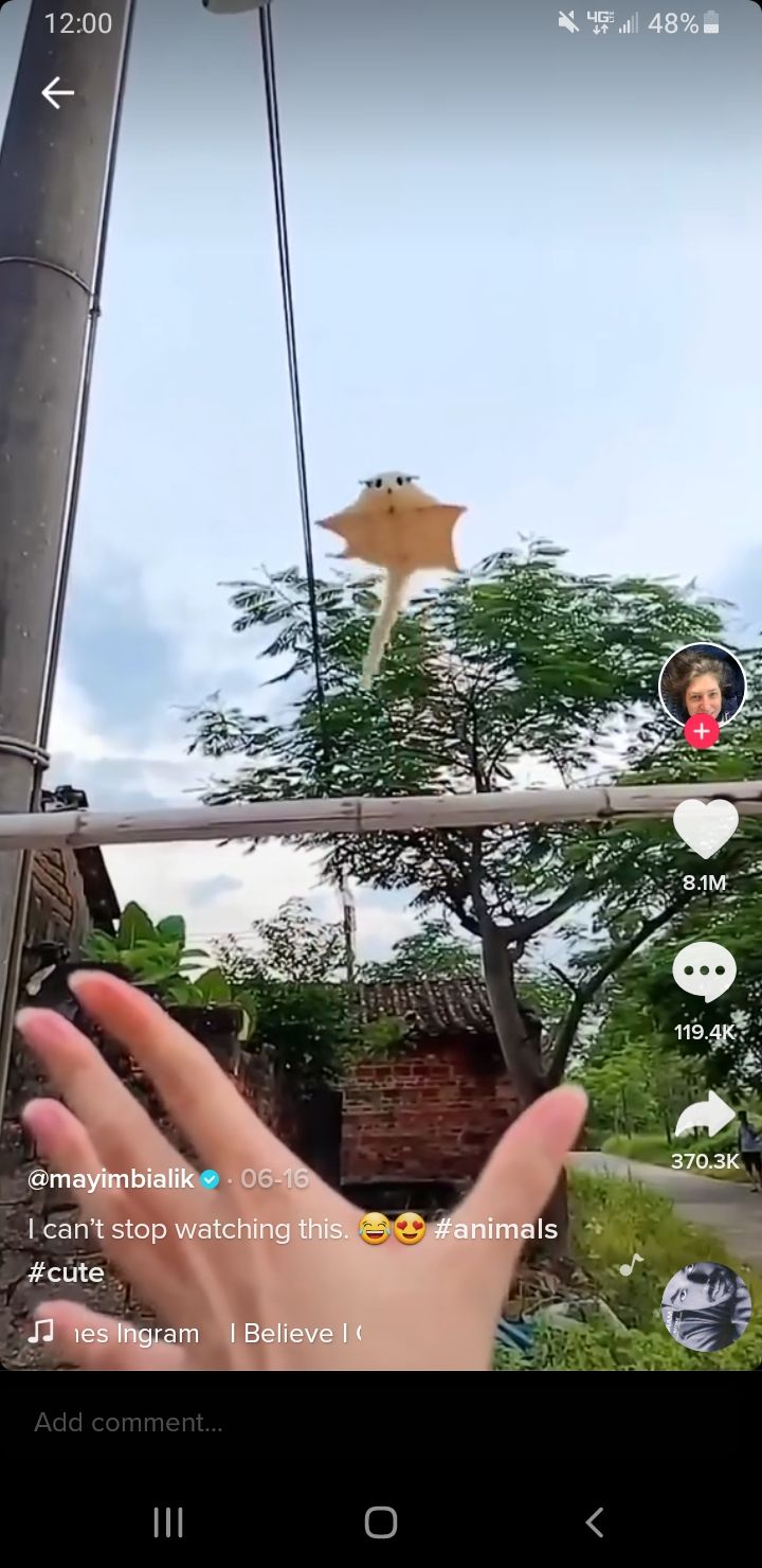 TikTok使用歌曲